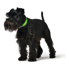 Koera kaelarihm Hunter Convenience Comfort Roheline Suurus M/L (42-50 cm) hind ja info | Kaelarihmad ja traksid koertele | kaup24.ee