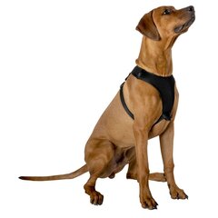 Плечевые ремни для собак с отражателями, 41-67 см цена и информация | Ошейники, подтяжки для собак | kaup24.ee