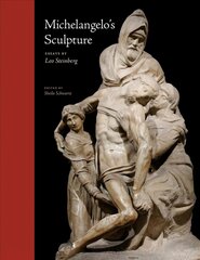 Michelangelo's Sculpture hind ja info | Kunstiraamatud | kaup24.ee