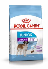 Royal Canin для крупных племенных щенков Giant Junior, 15 kg цена и информация | Сухой корм для собак | kaup24.ee