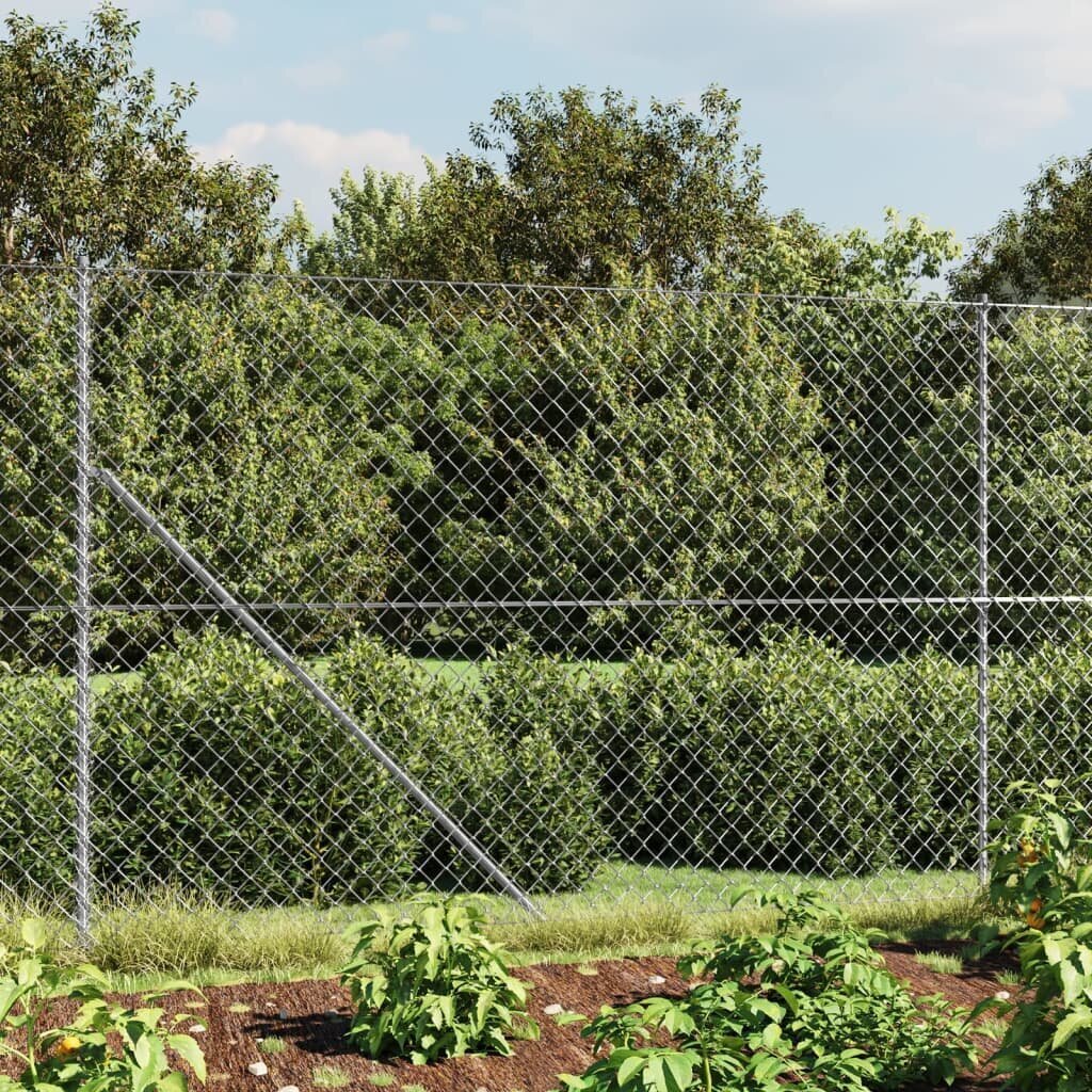 Võrkaed vidaXL, 1,6 x 10 m hind ja info | Aiad ja tarvikud | kaup24.ee