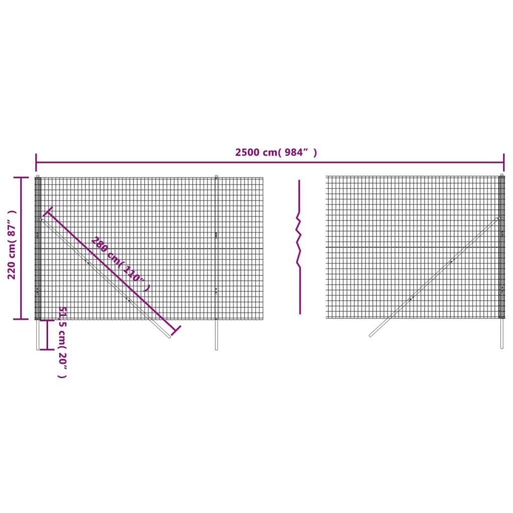 vidaXL traataed, antratsiithall, 2,2x25 m, tsingitud teras цена и информация | Aiad ja tarvikud | kaup24.ee