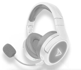Steelplay Bluetooth Headset Impulse (Switch/PC/Mac/Mobile), White hind ja info | Kõrvaklapid | kaup24.ee