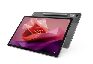 Lenovo Tab P12 128 ГБ серый цена и информация | для планшетов | kaup24.ee