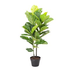 Kunstpuu FIDDLE LEAF, H190cm hind ja info | Kunstlilled | kaup24.ee