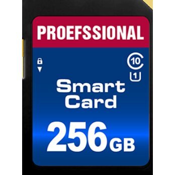 Mälukaart (SD 256 GB) hind ja info | Mobiiltelefonide mälukaardid | kaup24.ee