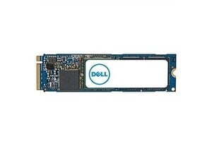 Dell AC037410 hind ja info | Sisemised kõvakettad (HDD, SSD, Hybrid) | kaup24.ee