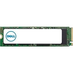 Dell AA615520 цена и информация | Внутренние жёсткие диски (HDD, SSD, Hybrid) | kaup24.ee