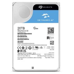 Seagate SkyHawk AI цена и информация | Внутренние жёсткие диски (HDD, SSD, Hybrid) | kaup24.ee