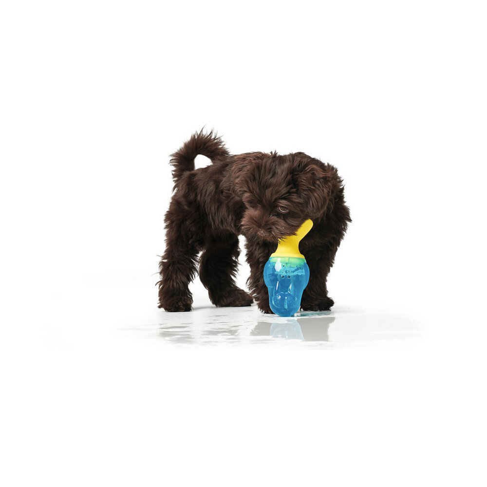 Koera mänguasi Hunter Aqua Alaska Kaheksajalg цена и информация | Mänguasjad koertele | kaup24.ee