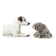 Koera mänguasi Hunter Faro Hall Karu hind ja info | Mänguasjad koertele | kaup24.ee