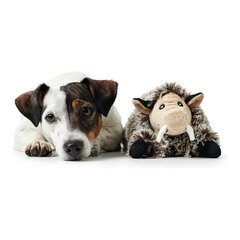 Koera mänguasi Hunter Faro Hall Siga цена и информация | Игрушки для собак | kaup24.ee