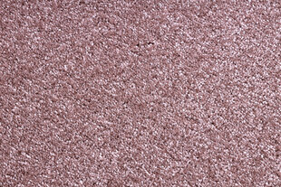 Rugsx ковровая дорожка Santa Fe 60, 60x430 см цена и информация | Ковры | kaup24.ee
