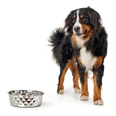 Миска для собак Hunter Namy цена и информация | Миски, ящики для корма | kaup24.ee