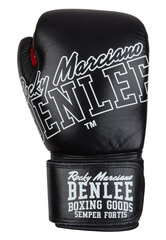 Боксерские перчатки из натуральной кожи Benlee Rockland, черные/белые цена и информация | Боевые искусства | kaup24.ee