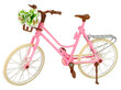 Emily nukk roosa jalgratta ja kiivriga hind ja info | Tüdrukute mänguasjad | kaup24.ee