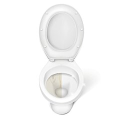 Шкурка Cleaning Block туалет Серый (23,5 cm) цена и информация | Тазик с ручками круглый 9л, серый | kaup24.ee