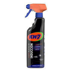 Очиститель KH7 цена и информация | Чистящие средства | kaup24.ee