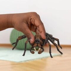 Figuur ämblik Aragog Schleich Wizarding World hind ja info | Poiste mänguasjad | kaup24.ee