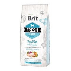 Brit Fresh Fish & Pumpkin Adult Large Muscles & Joints koeratoit 12 kg цена и информация | Сухой корм для собак | kaup24.ee