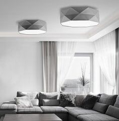 Laevalgusti TK Lighting Kantoor Gray цена и информация | Потолочные светильники | kaup24.ee