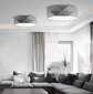 Laevalgusti TK Lighting Kantoor Gray цена и информация | Laelambid | kaup24.ee