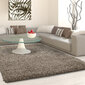 Vaip Ayyildiz LIFE taupe, 100x200 cm hind ja info | Vaibad | kaup24.ee