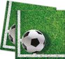 Peokomplekt - Jalgpall, taldrikud, tassid, salvrätikud hind ja info | Ühekordsed nõud | kaup24.ee