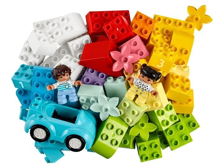 Karp Lego Duplo klotsidega цена и информация | Imikute mänguasjad | kaup24.ee