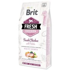 Brit Fresh Chicken with Potato Puppy полноценный корм для щенков 12 кг цена и информация | Сухой корм для собак | kaup24.ee