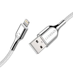Cygnett Кабель Lightning-USB Cygnett Armored 2.4A 12W 0.1м (белый) цена и информация | Кабели для телефонов | kaup24.ee