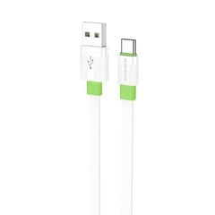 Borofone Cable BX89 Union - USB to Type C - 3A 1 metre white-grey цена и информация | Кабели для телефонов | kaup24.ee