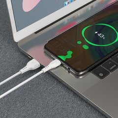 Borofone Cable BX51 Triumph - USB to Type C - 3A 1 metre white цена и информация | Кабели для телефонов | kaup24.ee