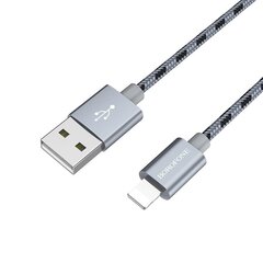 Borofone Cable BX24 Ring Current - USB to Type C - 3A 1 metre grey цена и информация | Кабели для телефонов | kaup24.ee