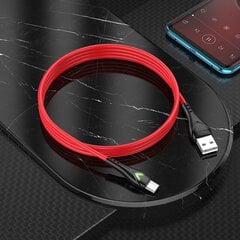 Borofone Cable BX65 Bright - USB to Type C - 2A 1 metre red цена и информация | Кабели для телефонов | kaup24.ee
