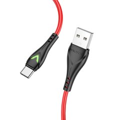 Borofone Cable BX65 Bright - USB to Type C - 2A 1 metre red цена и информация | Кабели для телефонов | kaup24.ee