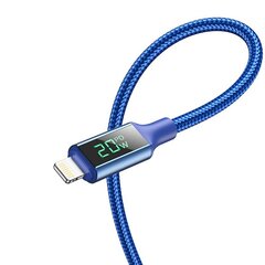 Borofone Cable BU32 Exclusive - Type C to Type C - PD 100W 3A 1,2 metres blue цена и информация | Кабели для телефонов | kaup24.ee