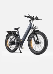 Электровелосипед Engwe E26, серый, 250Вт, 16Ач цена и информация | Электровелосипеды | kaup24.ee