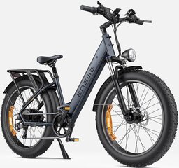 Электровелосипед Engwe E26, серый, 250Вт, 16Ач цена и информация | Электровелосипеды | kaup24.ee