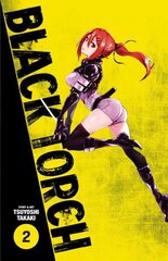 Black Torch, Vol. 2 цена и информация | Фантастика, фэнтези | kaup24.ee