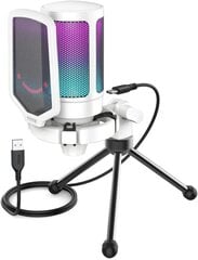 FIFINE A6V juhtmega mikrofon koos RGB-ga | USB цена и информация | Микрофоны | kaup24.ee