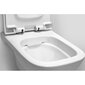 Seinale paigaldatav WC-pott AM·PM Like Flash Clean Rimless Soft Close kaanega цена и информация | WС-potid | kaup24.ee