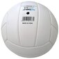 Rannavõrkpalli pall Enero Pro, valge hind ja info | Võrkpalli pallid | kaup24.ee