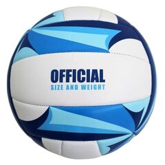 Пляжный волейбол Enero Pro Soft Touch цена и информация | Волейбольные мячи | kaup24.ee