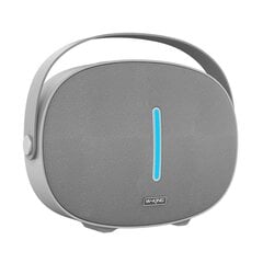 Wireless Bluetooth Speaker W-KING T8 30W (silver) цена и информация | Аудиоколонки | kaup24.ee