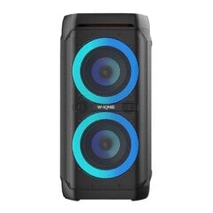 Wireless Bluetooth Speaker W-KING T11 100W (black) цена и информация | Аудиоколонки | kaup24.ee