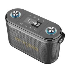 Wireless Bluetooth Speaker W-KING H10 S 80W (black) цена и информация | Аудиоколонки | kaup24.ee