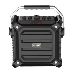 Wireless Bluetooth Speaker W-KING K3H 100W (black) цена и информация | Аудиоколонки | kaup24.ee