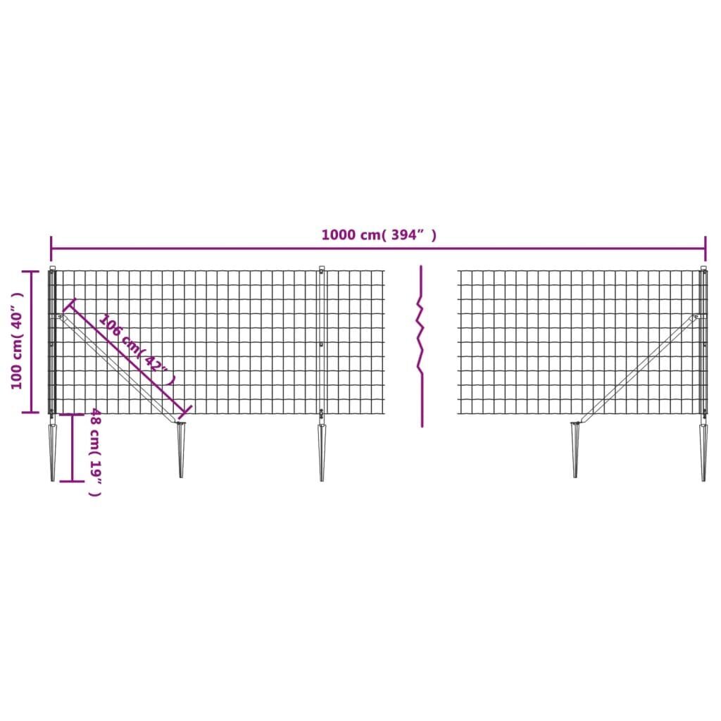 vidaXL traataed vaiadega, antratsiithall, 1x10 m hind ja info | Aiad ja tarvikud | kaup24.ee