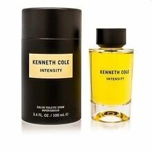 Tualettvesi Kenneth Cole Intensity EDT meestele, 100 ml hind ja info | Meeste parfüümid | kaup24.ee